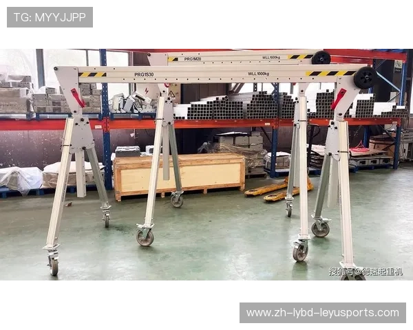 龙门架力量站模块化组合训练全场景应用